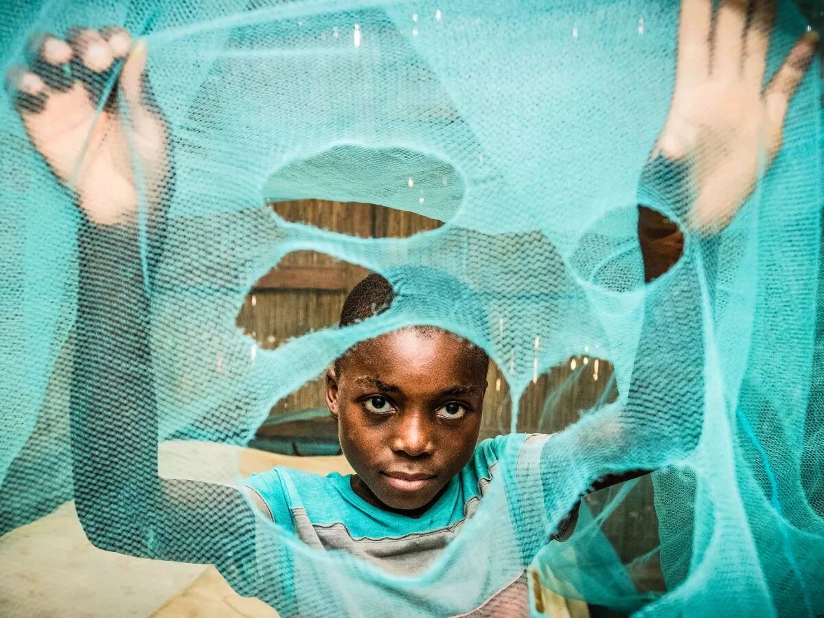 無錫疊螺機廠家闡述對抗蚊子的利器